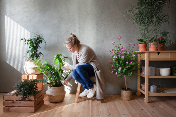 Banishing Fungus Gnats: A Guide To Eliminating Them From Indoor Plants