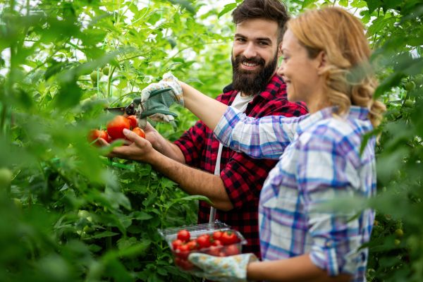 The Benefits of Using Beneficial Nematodes for Garden Pest Control