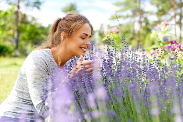 Natural Pest Control VS Chemical Pest Control