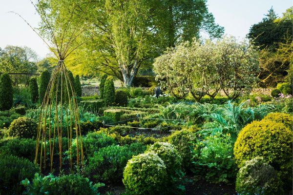 How Do Beneficial Nematodes Protect Plants?