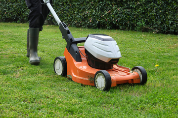 How to Prevent Chinch Bug Infestation