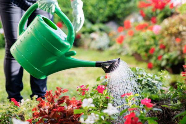 Nematodes For Grubs: A Natural Solution To Garden Pest Control
