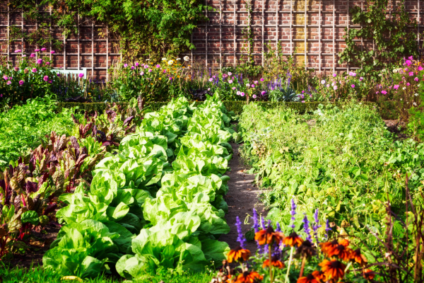 Seasonal Gardening: What To Plant And When