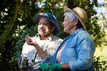 Tips to using Nematodes in your garden