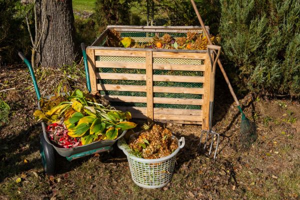 Composting In Autumn: A Complete Guide