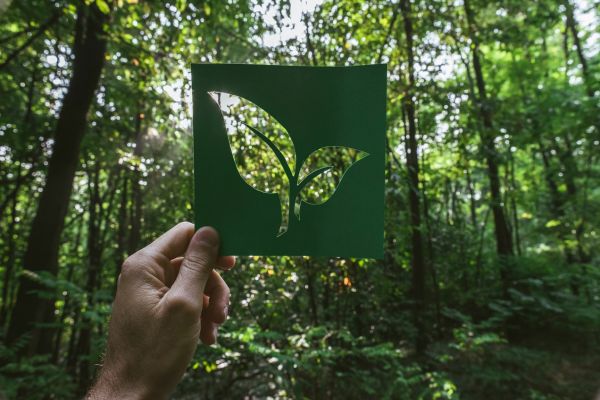 Eco-Friendly Gardens & Environmentally Friendly Products
