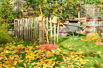 fall gardening