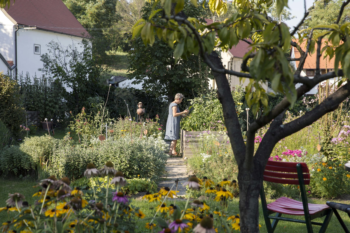 Integrating Beneficial Nematodes Into An Organic Gardening Plan