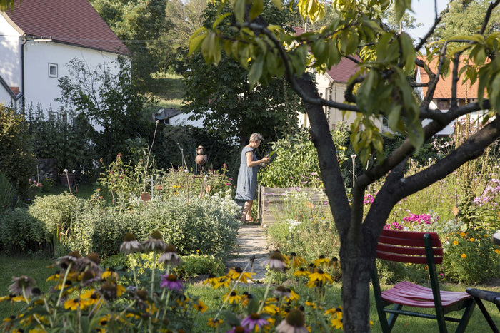 Integrating Beneficial Nematodes Into An Organic Gardening Plan