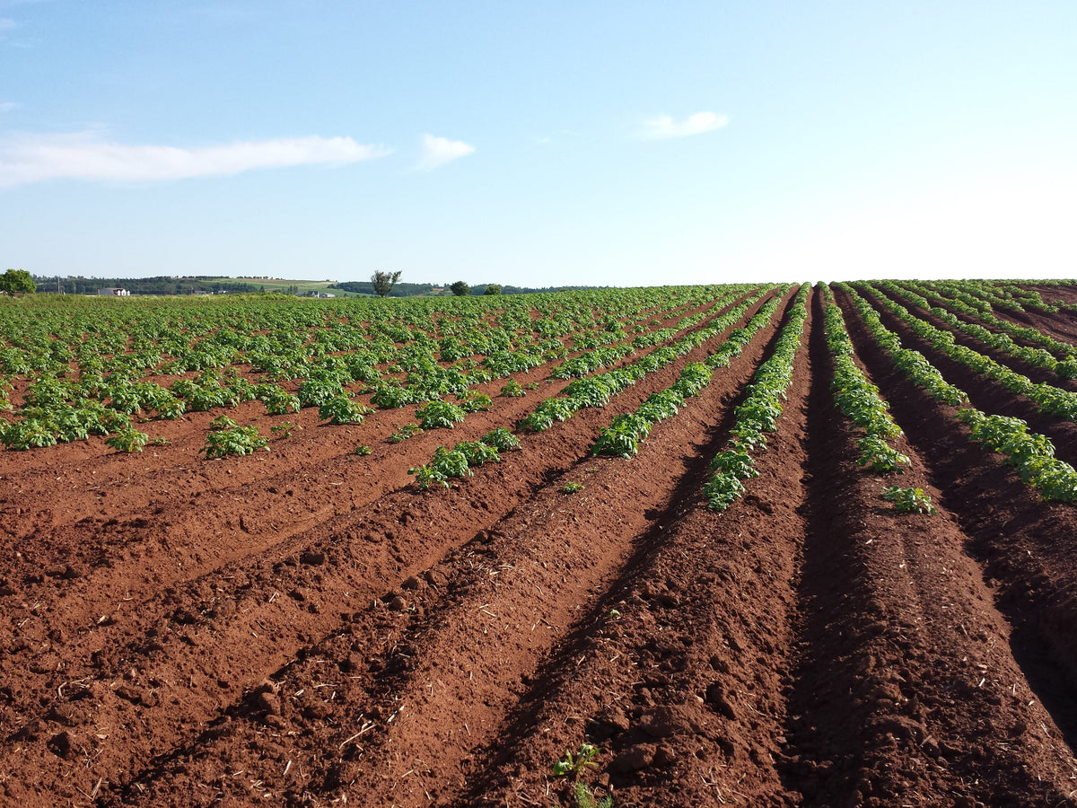 Commercial Soil Amendments