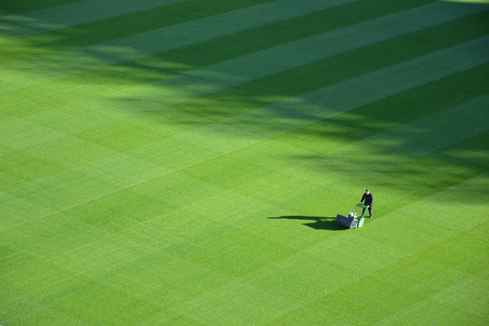 Commercial Lawn Care