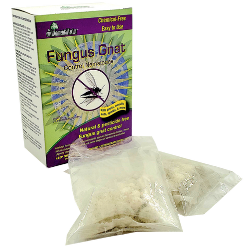 Fungus Gnat Control Nematodes – 2 x 5 million PK