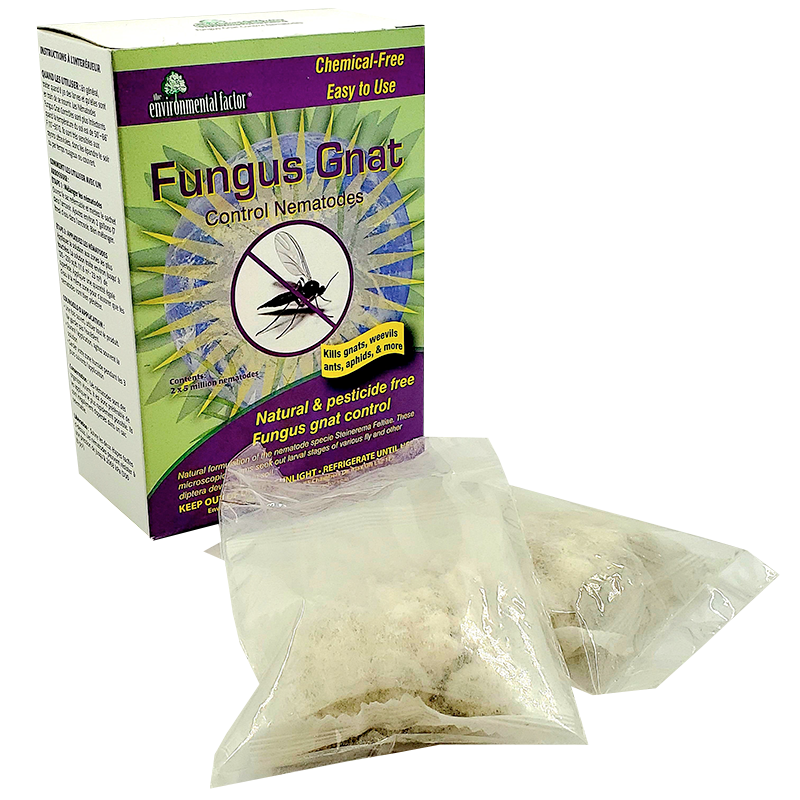 Fungus Gnat Control Nematodes – 2 x 5 million PK