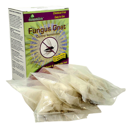 Fungus Gnat Control Nematodes – 4 x 5 million PK