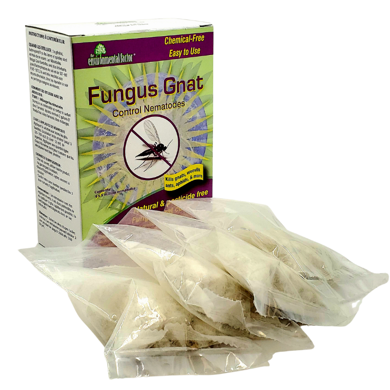 Fungus Gnat Control Nematodes – 4 x 5 million PK