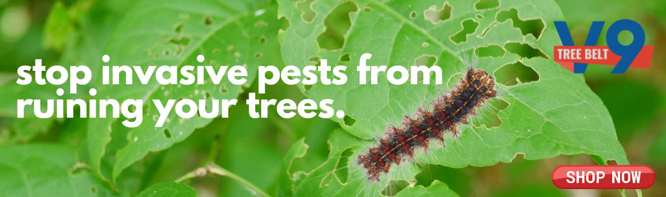 slider image slider_item_pbjLKx