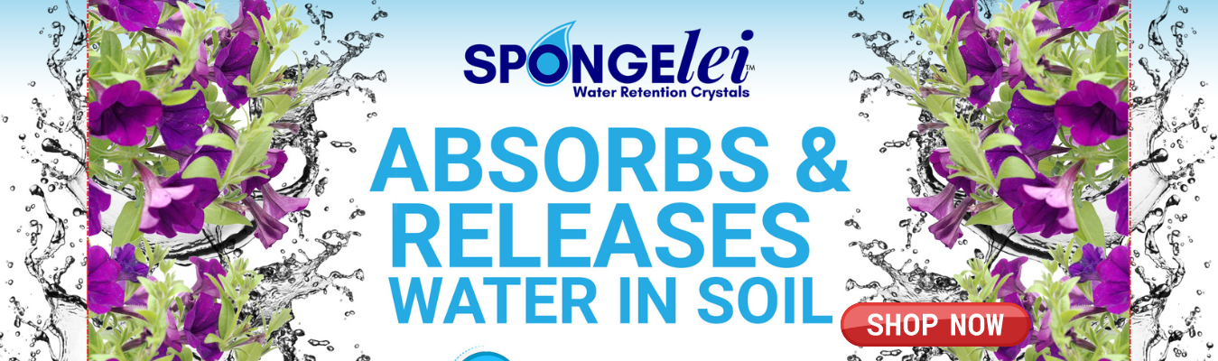 slider image slider_item_QWpUwM