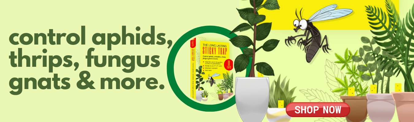 slider image 1621243260e1af0c20-0