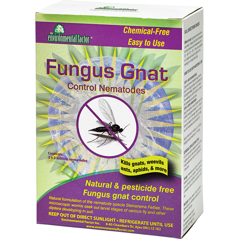 Fungus Gnat Nematodes – 2 X 5 Million PK