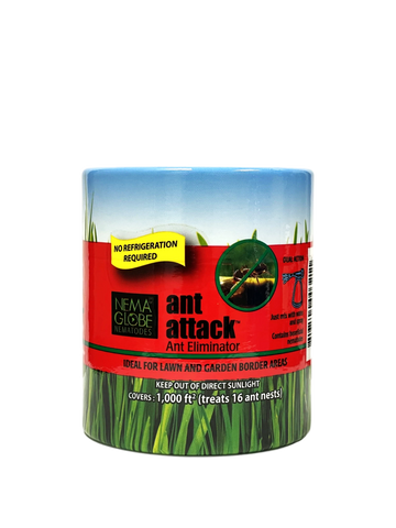 Nema Globe Ant Attack
