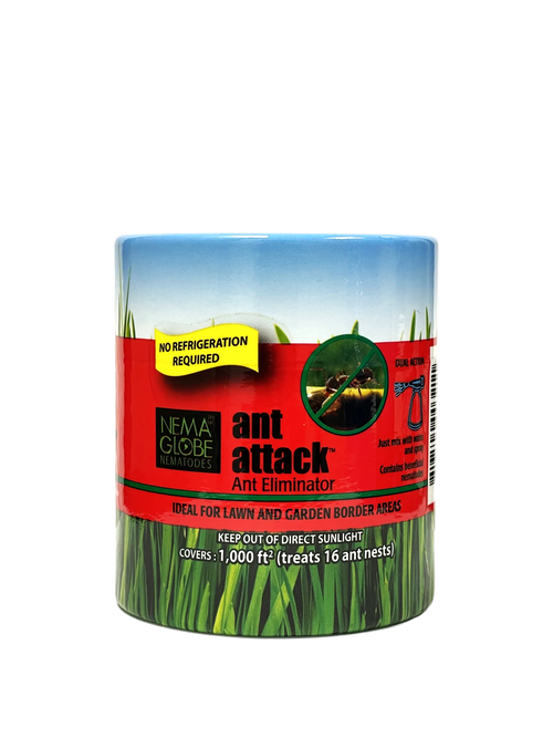 Nema Globe Ant Attack