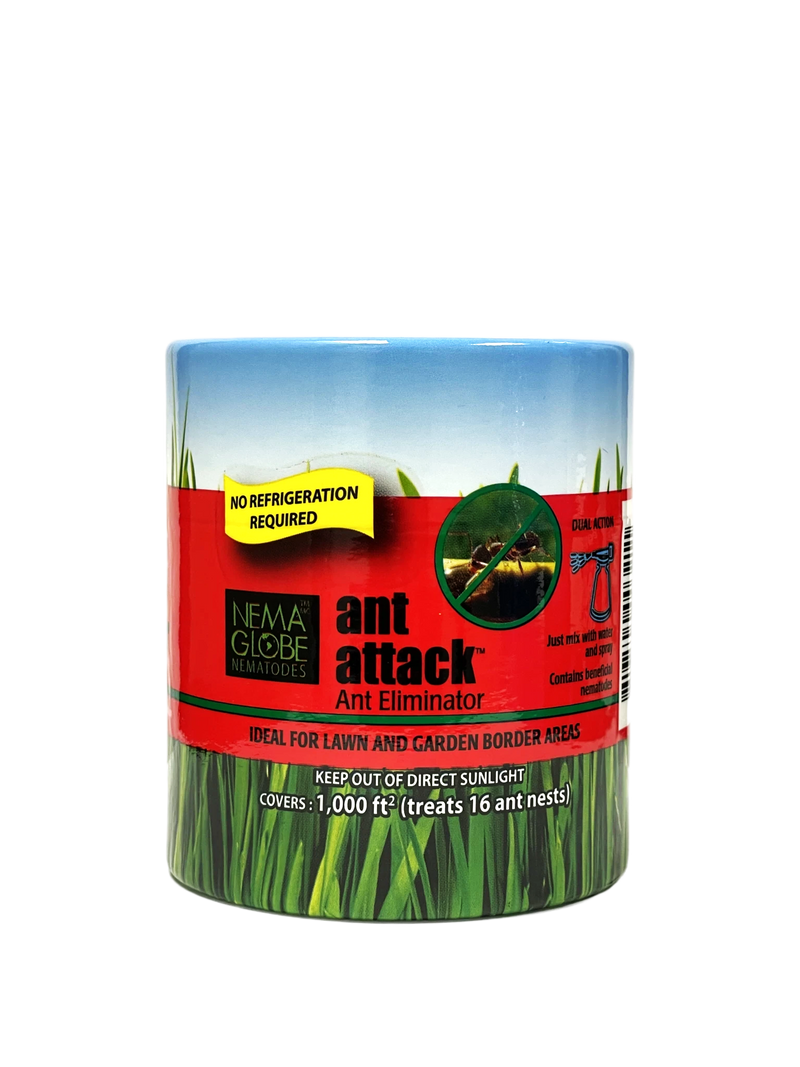 Nema Globe Ant Attack