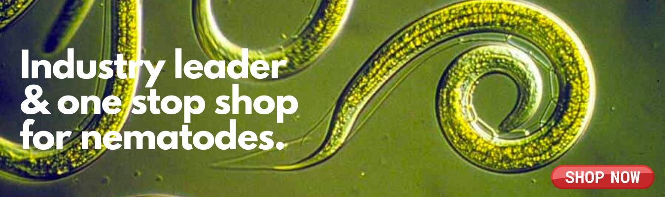 slider image slider_item_URJgbM