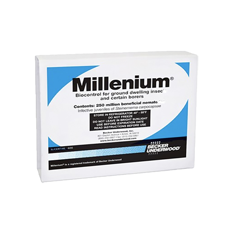 Millenium Beneficial Nematodes 250 million nematodes