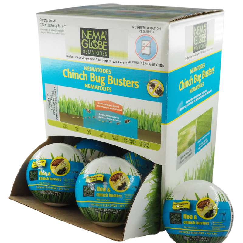 Nema Globe Flea & Chinch Buster Display