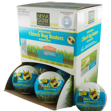 Nema Globe Flea & Chinch Buster Display