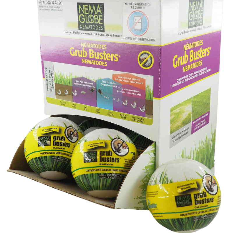 Nema Globe Grub Buster Display