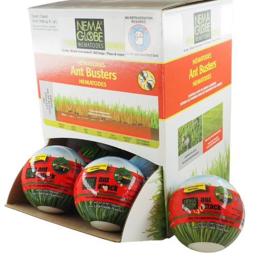 Nema Globe Ant Attack Display