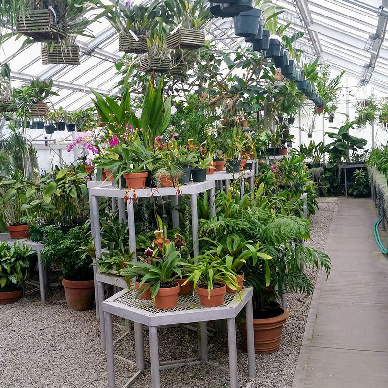 Spongelei Water Retention Crystals 3oz. (85g)