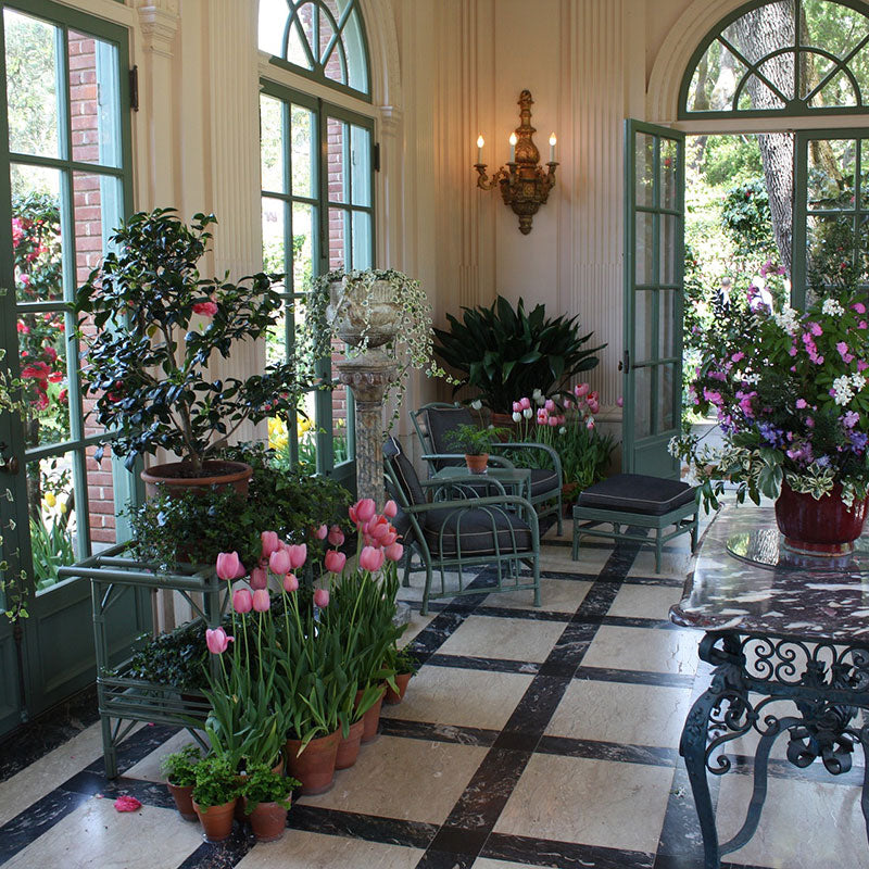 Spongelei Water Retention Crystals 3oz. (85g)