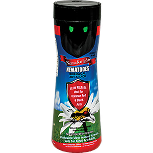 NemaKnights Ant Attack