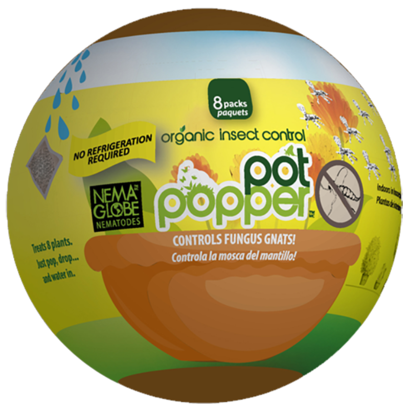 Pot Popper Globe (8 Sachets) – Plantwell