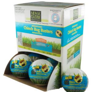  Environmental Factor 50 x 1 Million Benifical Nematodes  (S.feltiae) Pot Popper Pro Gnat & Thrip Control : Patio, Lawn & Garden